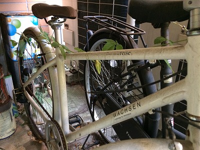 クレール自転車 (1)